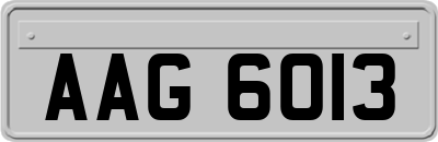 AAG6013