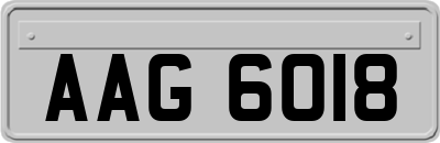 AAG6018