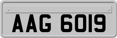 AAG6019