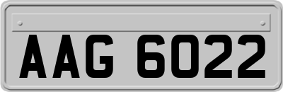 AAG6022