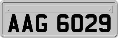 AAG6029