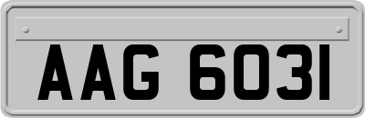 AAG6031