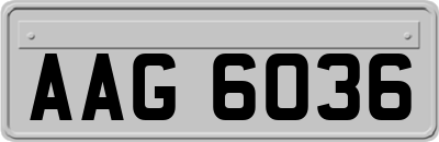 AAG6036