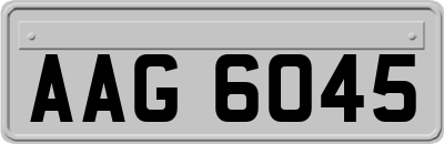 AAG6045