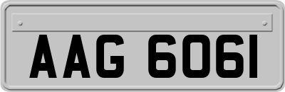 AAG6061