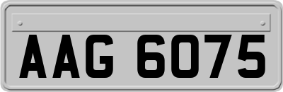 AAG6075