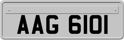 AAG6101