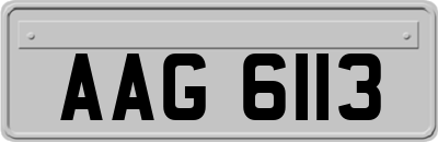 AAG6113