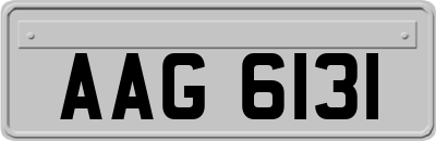 AAG6131