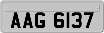 AAG6137