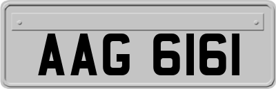 AAG6161