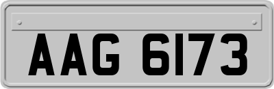 AAG6173