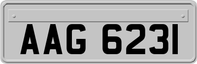 AAG6231