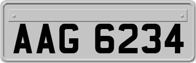 AAG6234