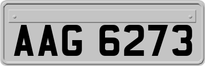 AAG6273