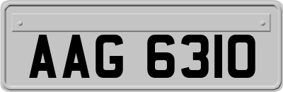 AAG6310