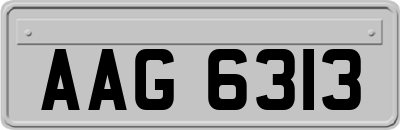 AAG6313