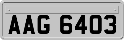 AAG6403