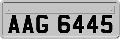 AAG6445