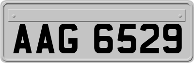 AAG6529