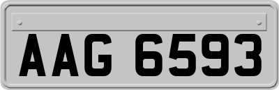 AAG6593