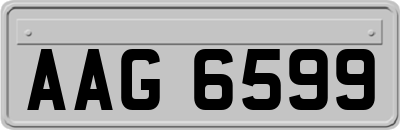 AAG6599