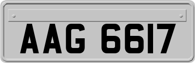 AAG6617