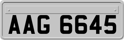 AAG6645