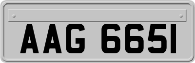 AAG6651