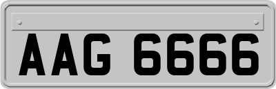 AAG6666