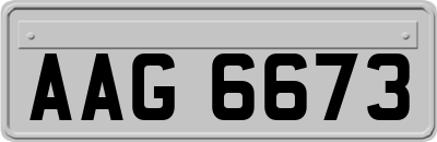 AAG6673