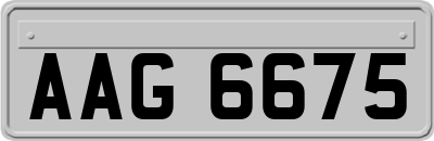 AAG6675