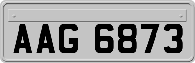 AAG6873