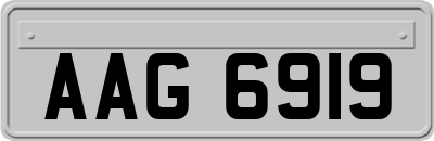 AAG6919