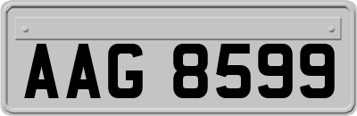 AAG8599