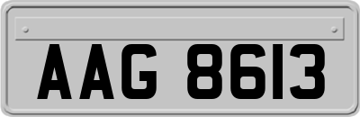 AAG8613