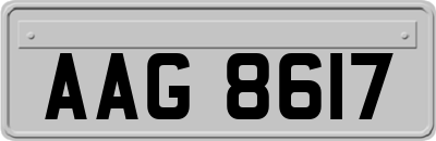 AAG8617