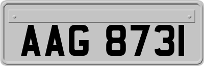 AAG8731