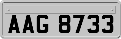 AAG8733