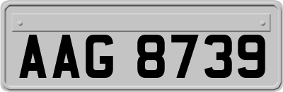 AAG8739