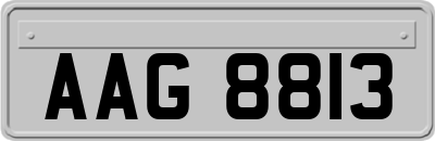 AAG8813