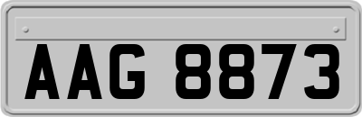 AAG8873