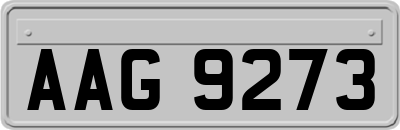 AAG9273