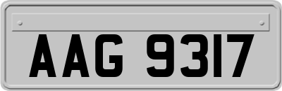 AAG9317