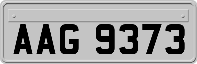 AAG9373