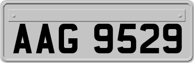 AAG9529