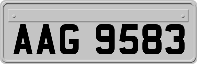 AAG9583