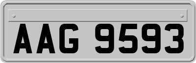 AAG9593