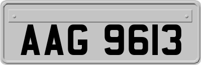 AAG9613