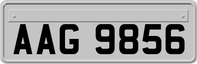 AAG9856